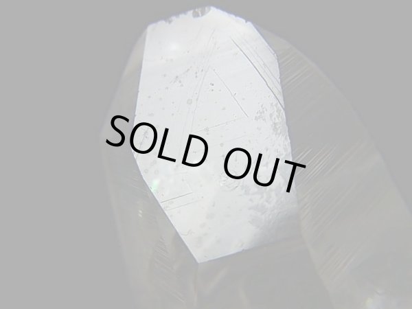 画像2: ペーニャブランカ産コロンビアン・レムリアンシード水晶ポイント（レコードキーパー付き） 21.1g