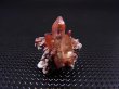 画像1: メキシコ産レッドトパーズ原石（群晶） 1.8g