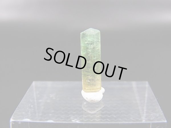 画像1: ベトナムMinh Tien産バイカラートルマリン柱状結晶原石 1.8カラット