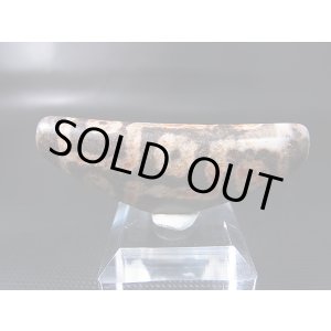 画像: ヴィンテージ：「弓形赤九眼」西蔵（チベット）天珠 約54.5×21×11.5mm