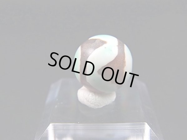 画像2: ヴィンテージ：「雪域天珠：老緑色虎牙」西蔵（チベット）天珠 直径約14×14mm