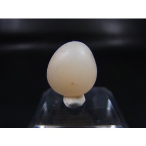 画像: 和田玉(ホータンぎょく)「無漂白/無着色・白玉」原石 3.4g