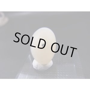 画像: 和田玉（ホータンぎょく）「羊脂白玉」オリジナルビーズ 約19.5×12.5×9mm