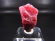 画像1: ブラジル産ヴィヴィッドレッドロードナイト原石 11.0g