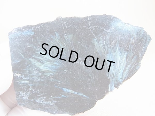 画像1: フィンランド産ヌーマイト研磨スライス（片面研磨） 72.6g