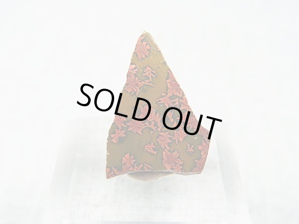 画像1: 飯盛ラボストーン（IL-stone）「レアカラー：ブラッドストーン（紅葉石）」ガラス原石 13.0カラット