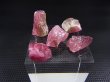 画像1: カリフォルニア産ピンクトルマリン原石（バイカラー） 5点セット トータル 26.8カラット