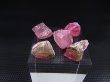 画像2: カリフォルニア産ピンクトルマリン原石（バイカラー） 5点セット トータル 26.8カラット