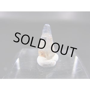 画像: スリランカ産バイカラーサファイア原石(犬牙型) 1.4カラット