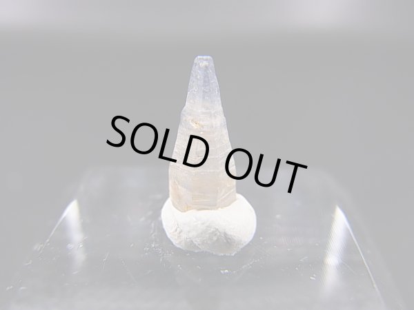 画像2: スリランカ産バイカラーサファイア原石（犬牙型） 1.4カラット