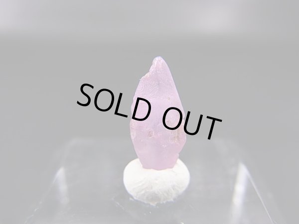 画像1: スリランカ産バイオレットサファイア原石（犬牙型） 2.0カラット