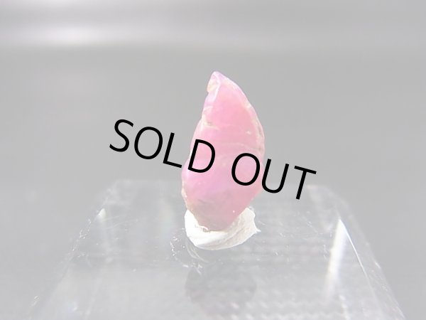 画像1: ベトナムLuc Yen産シルキーサファイア原石（犬牙型） 2.5カラット