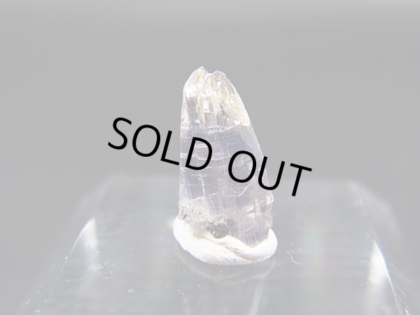 画像1: ジェムクオリティ：タンザナイト原石（バイカラー） 1.9カラット