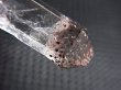 画像2: タンザニア産クリア/モンドクオーツ（レピドクロサイト入り） 1.4g