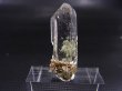 画像1: インド・マニハール産ウォータークリア水晶（ゴールドルチル入り） 2.8g