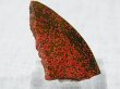 画像1: 飯盛ラボストーン（IL-stone）「レアカラー：ブラッドストーン（紅葉石）」ガラス原石 25.3カラット