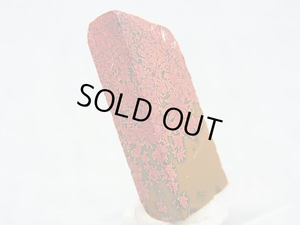 画像1: 飯盛ラボストーン（IL-stone）「レアカラー：ブラッドストーン（紅葉石）」ガラス原石 14.8カラット