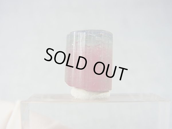 画像1: アフガニスタン産バイカラートルマリン柱状結晶（ピンク/ブルーグリーン） 13.3カラット