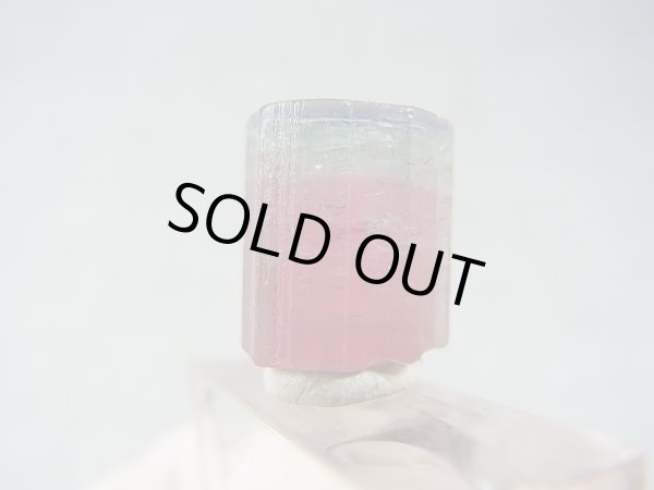 画像2: アフガニスタン産バイカラートルマリン柱状結晶（ピンク/ブルーグリーン） 13.3カラット