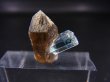 画像2: ベトナム・タインホア産アクアマリン付きスモーキー水晶（ブラックトルマリン付き） 1.4g