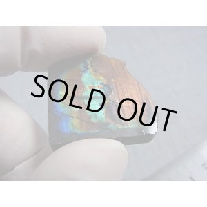 画像: フィンランド・ユレマー産スペクトロライト（ヴィオラミックス＆グリーン）研磨スライス 8.1g