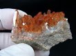 画像1: スウェーデン産ヘマタイト（タンジェリン）水晶クラスター 25.8g