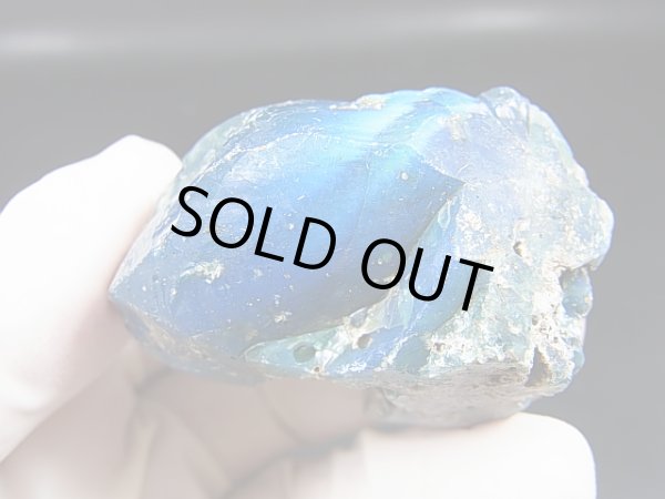 画像2: スウェーデン産ブルースウェディッシュスラグ（スウェディッシュブル－） 59.6g