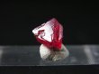 画像2: ミャンマー・モゴック産宝石質レッドスピネル結晶（双晶） 1.8カラット