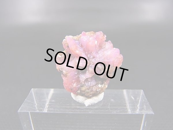 画像1: ベトナムLuc Yen産トラピチェ結晶原石（シルキーピンクサファイア） 7.9カラット