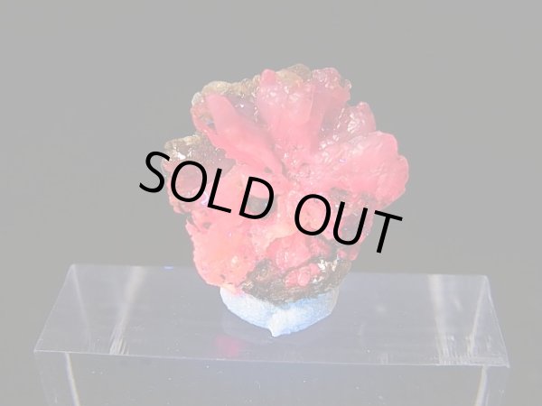 画像2: ベトナムLuc Yen産トラピチェ結晶原石（シルキーピンクサファイア） 7.9カラット