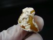 画像2: 北海道上藻別産イエローオパール原石 4.4g