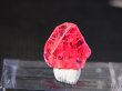 画像2: ベトナムLuc Yen産レッドスピネル結晶（△成長丘付き/双晶） 2.5カラット