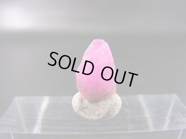 画像1: ベトナムLuc Yen産シルキーサファイア原石（犬牙型） 2.0カラット