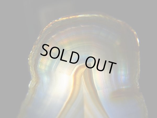 画像2: ブラジル産イリスアゲートスライス 6.9g