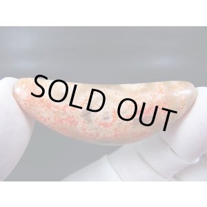 画像: ヴィンテージ：「弓形(牛角)赤七眼」西蔵（チベット）天珠 約53.5×20×11.5mm