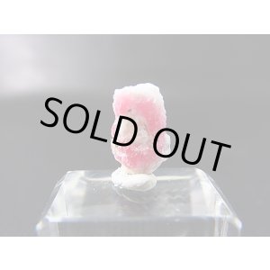 画像: ツグツパイト（タグトゥパイト）原石 0.4g