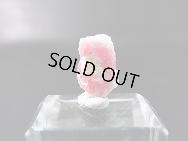 画像1: ツグツパイト（タグトゥパイト）原石 0.4g