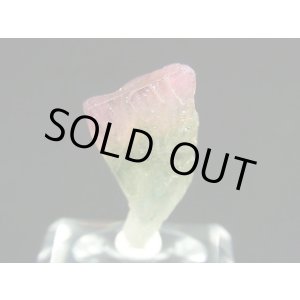 画像: ベトナムMinh Tien産多色トルマリン（ウォーターメロン）結晶原石 10.4カラット