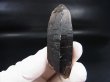 画像1: ノルウェー産スモーキークオーツ（ケアンゴーム）原石 38.6g