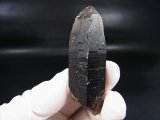 画像: ノルウェー産スモーキークオーツ（ケアンゴーム）原石 38.6g
