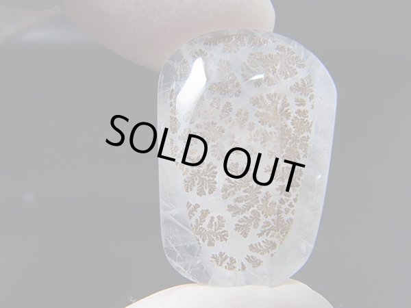 画像1: ブラジル産デンドリック水晶研磨タンブル 9.2g