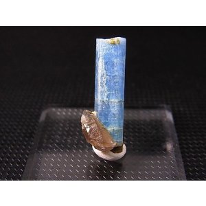 画像: ベトナム・タインホア産アクアマリン付きスモーキー水晶 2.2g