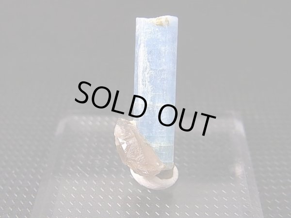 画像1: ベトナム・タインホア産アクアマリン付きスモーキー水晶 2.2g