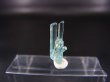 画像1: ジェムグレード宝石需要品質：ベトナム産アクアマリン柱状結晶原石（連晶） 1.1カラット