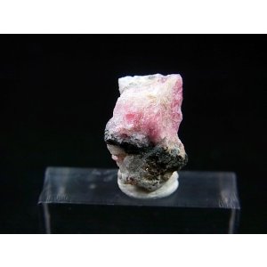 画像: ツグツパイト（タグトゥパイト）原石 1.6g