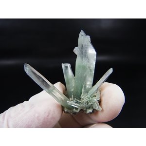 画像: インド・マニハール産クリア水晶（連晶/クローライト入り） 8.5g