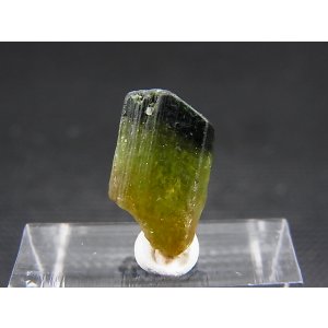 画像: ベトナムMinh Tien産グリーントルマリン（バイカラー）結晶原石 6.0カラット