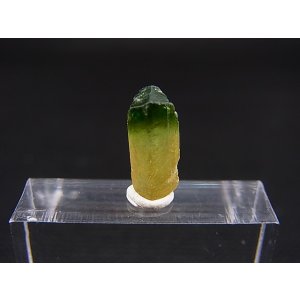 画像: ベトナムMinh Tien産グリーントルマリン（バイカラー）結晶原石 2.4カラット