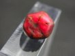 画像1: ミャンマーモゴック産トラピチェルビー結晶原石 5.7カラット