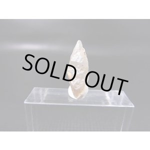 画像: ミャンマー・モゴック産ホワイトサファイア原石（犬牙型ＤＴ） 4.1カラット